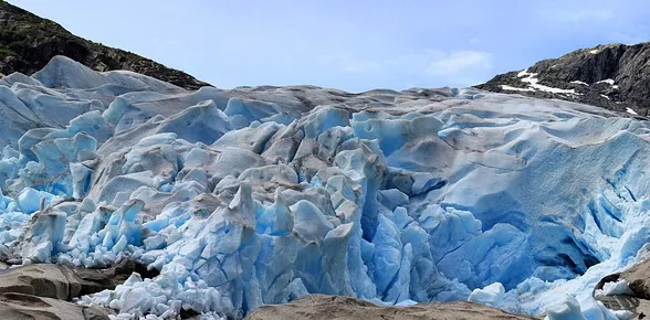 [Appel à projets] Climat et biodiversité