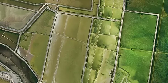 La Camargue vue par le satellite Pléiades