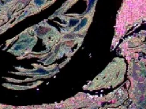 60 anniversaire SFPT